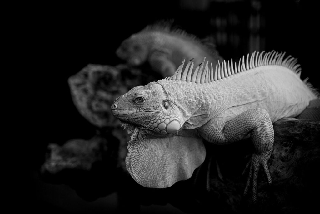 むくみを解消するための習慣改善と水分量の関係は？