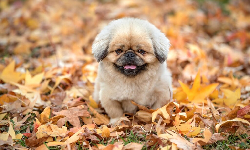 スキニーが履けない理由と解決策は？