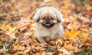 スキニーが履けない理由と解決策は？