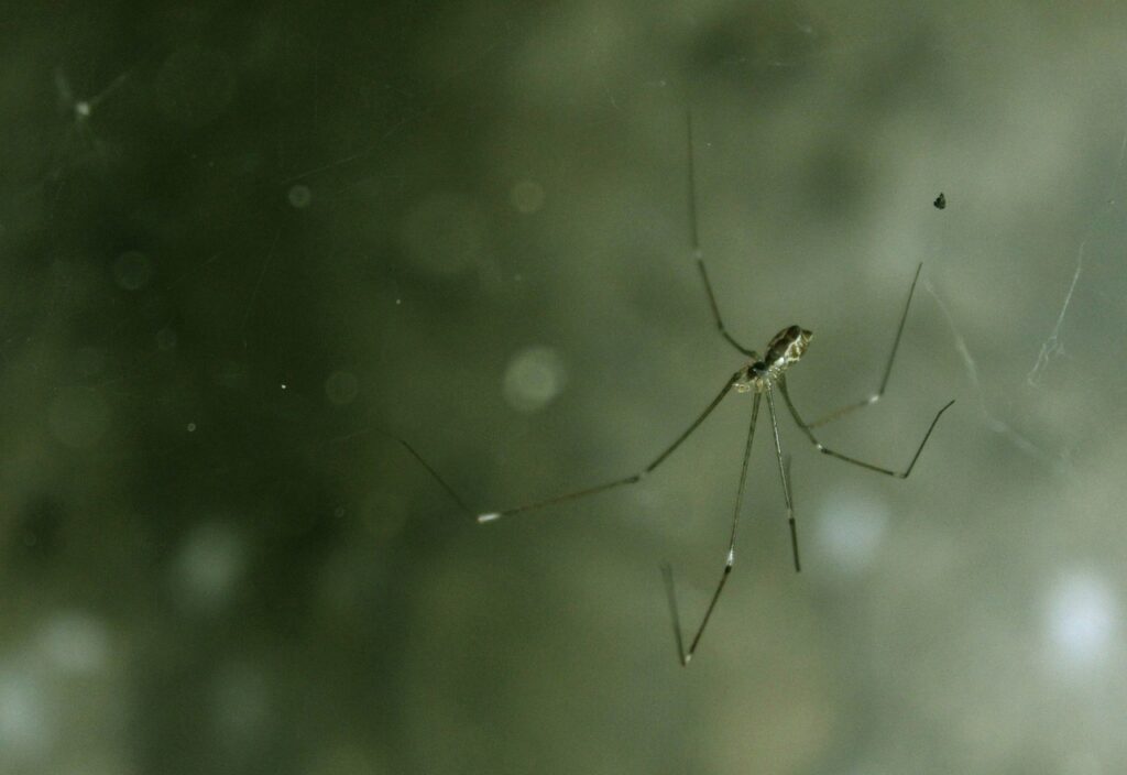 スキニー体型に似合うファッションアイテムは？