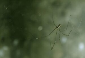 スキニー体型に似合うファッションアイテムは？