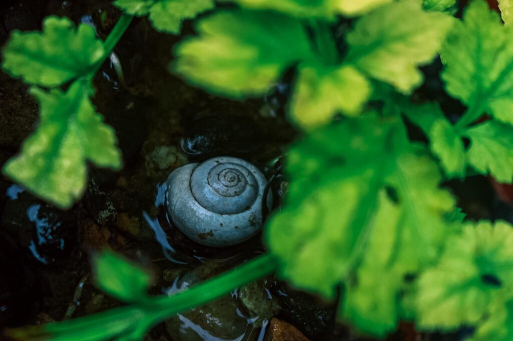 骨格ナチュラルの私が足太い時に選ぶスタイルは？