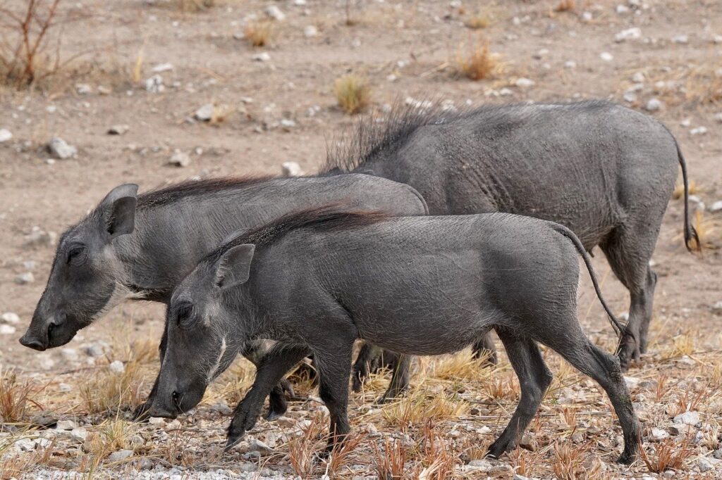 脚痩せに最適な骨格別メニューとは？