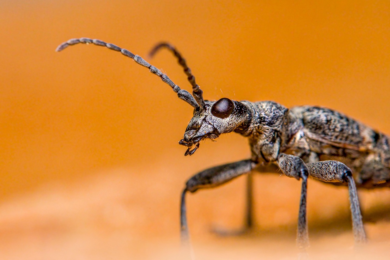 1日10分でできる脚痩せルーティンは何ですか？