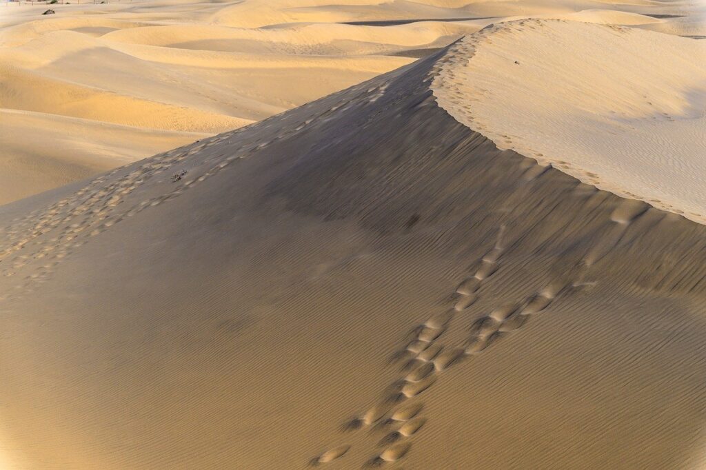 着圧レギンスは暑い季節にどのように使える？