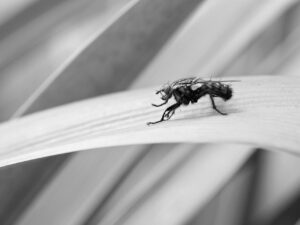 脚痩せに効果的なサプリでむくみを解消する方法は？