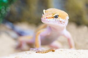 前ももが張るのはなぜ？改善方法を知って痛みを解消しよう！