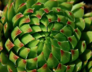 太もも痩せの脂肪吸引で後悔しないために知っておくべきことは？