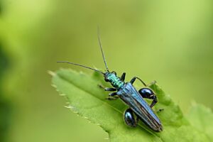 太もも痩せの自宅ケアは本当に効果的？