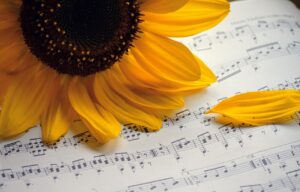 足首のくびれを作る方法はこれだ！あなたに合った簡単ステップは？