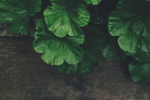 骨格ナチュラルのあなたにぴったりな脚痩せ方法は？